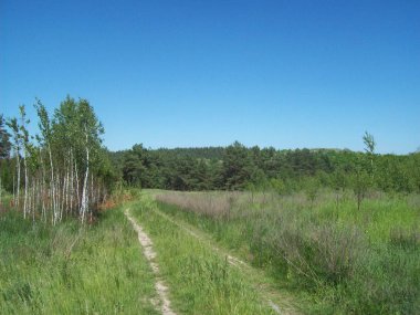Alan şehir, tarım tesisleri dışında