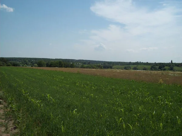 Alan şehir, tarım tesisleri dışında