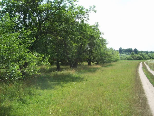Alan şehir, tarım tesisleri dışında