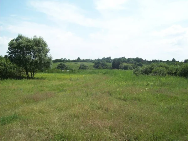 Feld Außerhalb Der Stadt Landwirtschaftliche Betriebe — Stockfoto