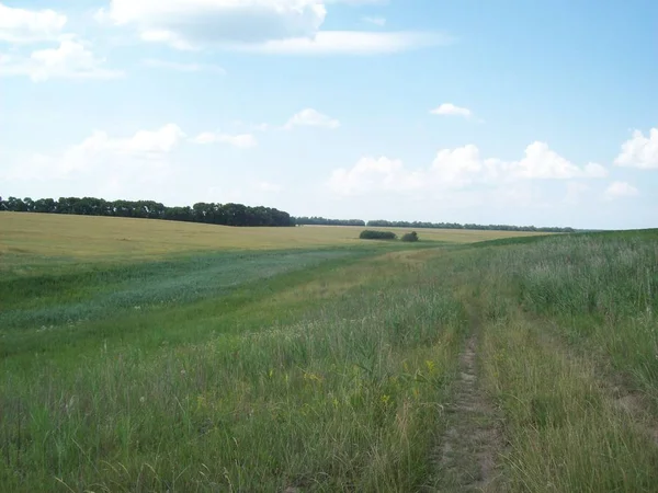 Alan şehir, tarım tesisleri dışında