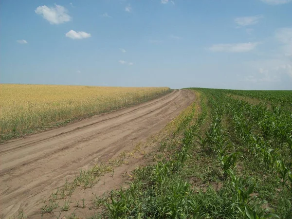 Alan şehir, tarım tesisleri dışında