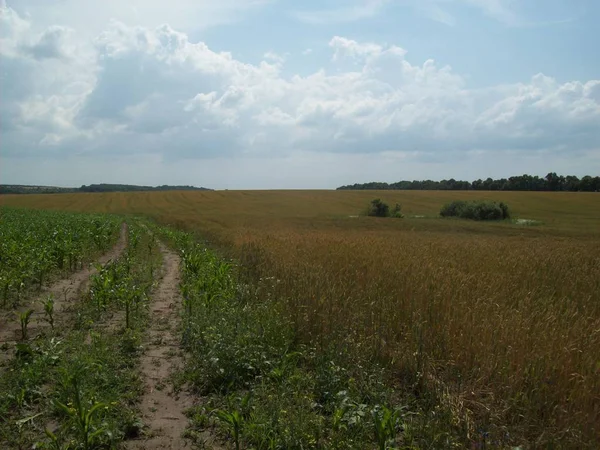 Alan şehir, tarım tesisleri dışında