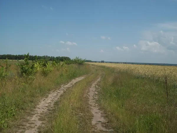Alan şehir, tarım tesisleri dışında