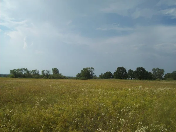 Feld Außerhalb Der Stadt Landwirtschaftliche Betriebe — Stockfoto