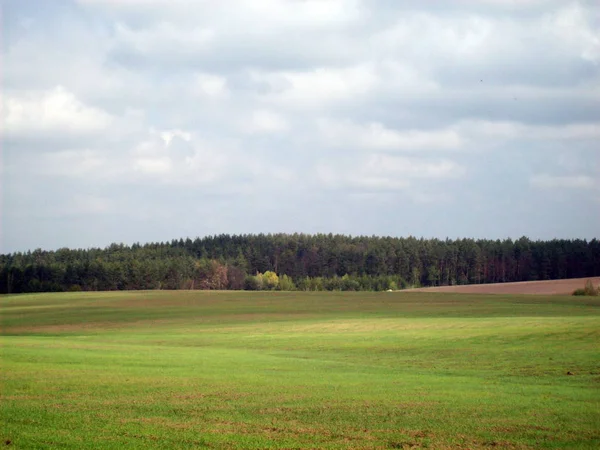 Поле Містом Сільськогосподарські Заводи — стокове фото