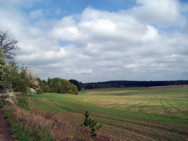 Alan şehir, tarım tesisleri dışında