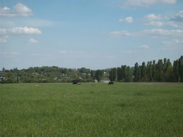 Alan şehir, tarım tesisleri dışında