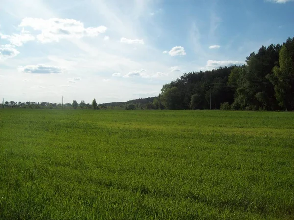 Feld Außerhalb Der Stadt Landwirtschaftliche Betriebe — Stockfoto