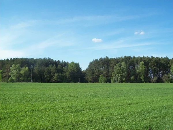 Поле Містом Сільськогосподарські Заводи — стокове фото