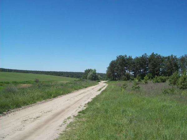 Alan şehir, tarım tesisleri dışında