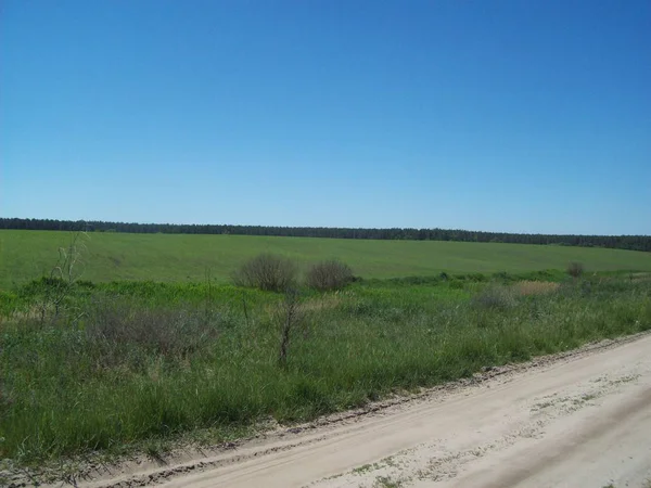 Feld Außerhalb Der Stadt Landwirtschaftliche Betriebe — Stockfoto