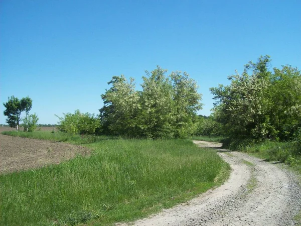 Alan şehir, tarım tesisleri dışında