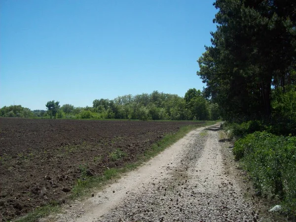 Alan şehir, tarım tesisleri dışında