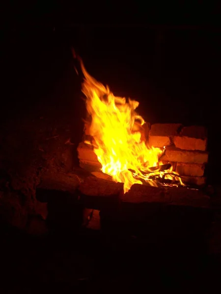 Oheň Hoří Lese Dřevo — Stock fotografie