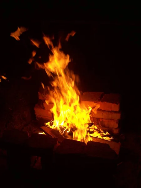 木头上的火在树林里燃烧 — 图库照片