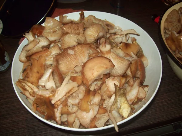 Mushrooms Autumn Honey Vegetarian Food — 스톡 사진