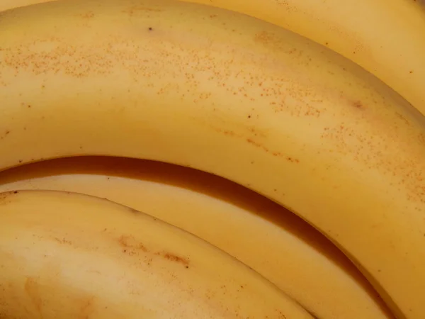 Einfaches Hausgemachtes Essen Zubereitet — Stockfoto