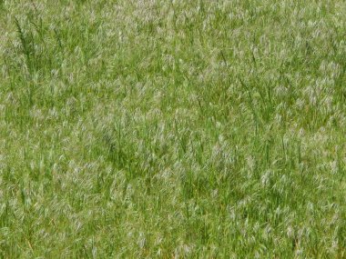 Kompozisyon ve doku grafik kaynakları Tasarla