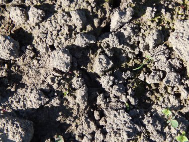 Kompozisyon ve doku grafik kaynakları Tasarla