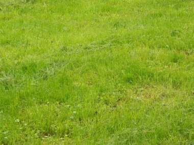 Kompozisyon ve doku grafik kaynakları Tasarla