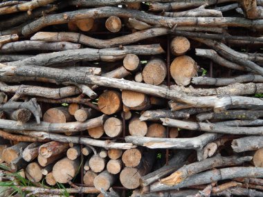 Kompozisyon ve doku grafik kaynakları Tasarla