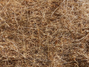 Kompozisyon ve doku grafik kaynakları Tasarla