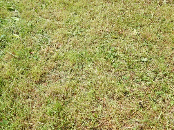 Kompozisyon ve doku grafik kaynakları Tasarla