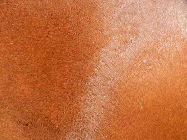 Состав и текстура графических ресурсов
