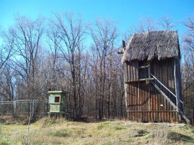 Tarihi ve arkeolojik binalar ve mimari