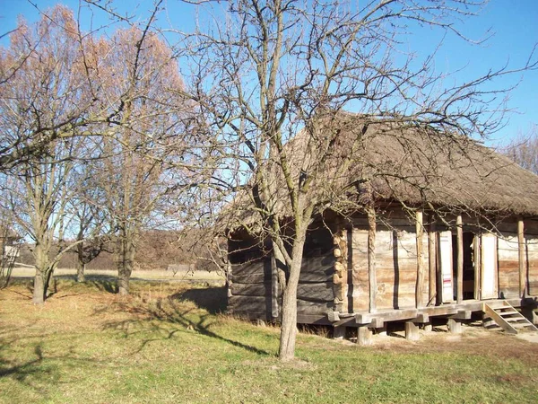 Historische Archeologische Gebouwen Architectuur — Stockfoto