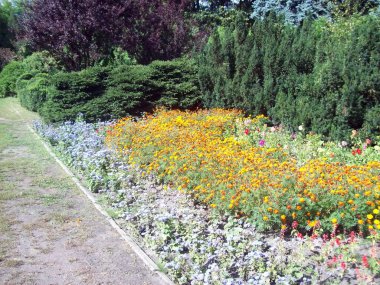 Park Peyzaj sanat bahçe tasarımı