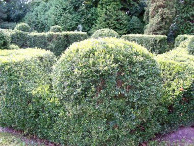 Park Peyzaj sanat bahçe tasarımı