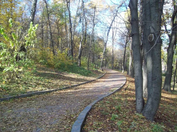 Park Landscape Art Garden Design — Stock Photo, Image