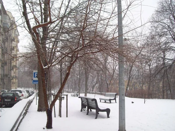 Park Peyzaj Sanat Bahçe Tasarımı — Stok fotoğraf