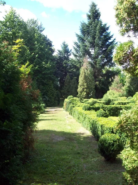 Park Landscape Art Garden Design — Stock Photo, Image