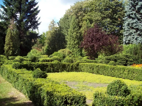 Park Peyzaj Sanat Bahçe Tasarımı — Stok fotoğraf