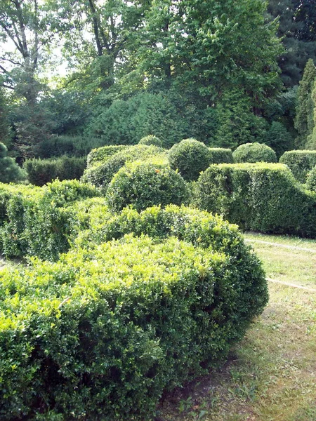 Park Peyzaj Sanat Bahçe Tasarımı — Stok fotoğraf