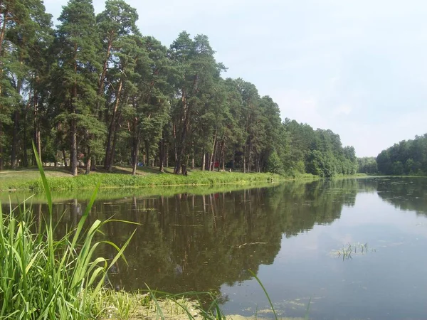 Sungai Dan Danau Pedesaan — Stok Foto