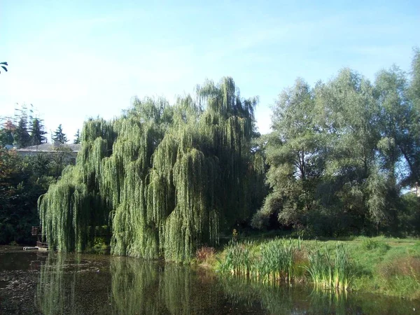 River Lakes Countryside — Stock Photo, Image