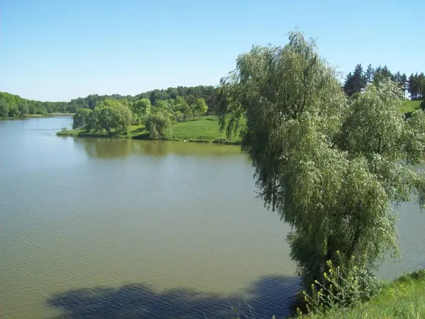 Rivière Lacs Campagne — Photo