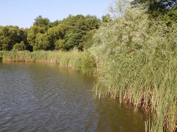 Älven Och Sjöarna Landsbygden — Stockfoto