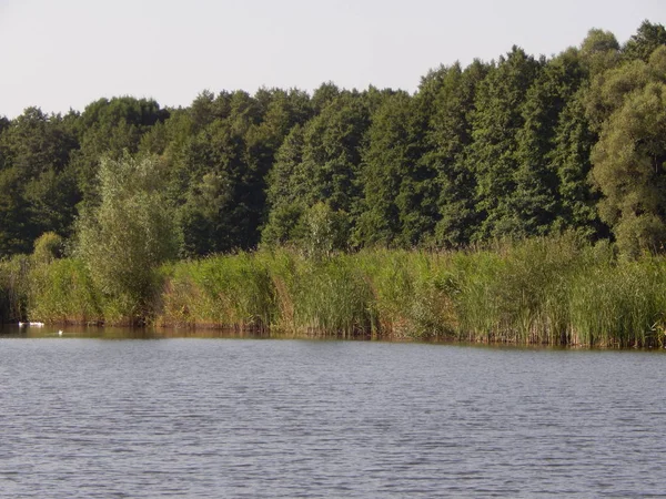 Río Lagos Campo —  Fotos de Stock