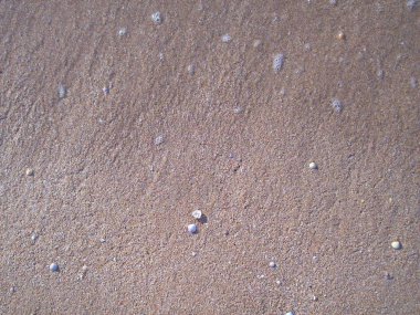 Sea beach on the Kerch peninsula of Crimea on the Azov water and sand texture