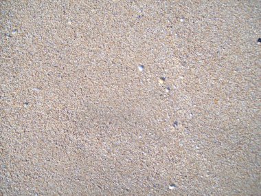 Sea beach on the Kerch peninsula of Crimea on the Azov water and sand texture