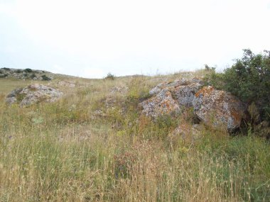 Crimea deniz dağ manzarası için seyahat