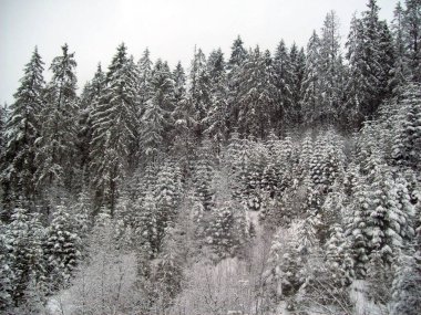 Zakopane Polonya Kayak Merkezi için seyahat