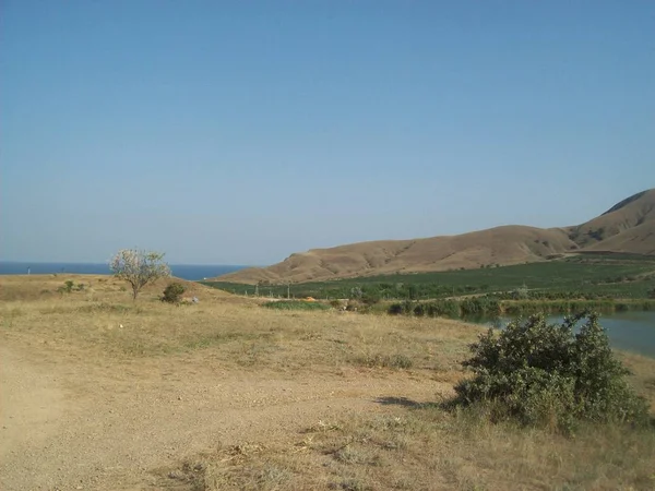 Villaggio Soniachna Dolyna Nel Crimea Sui Vigneti Mar Nero — Foto Stock