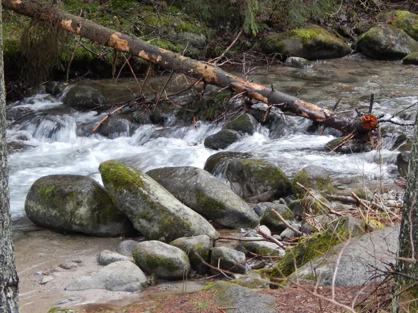 Slovakya Jasna Kayak Merkezi Için Seyahat — Stok fotoğraf