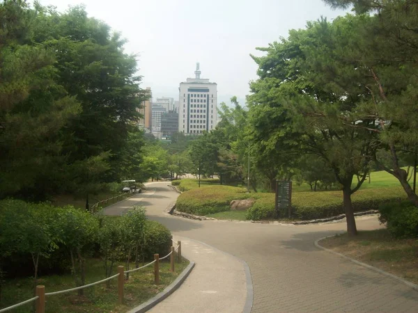 Reis Naar Stad Seoul Zuid Korea Park — Stockfoto